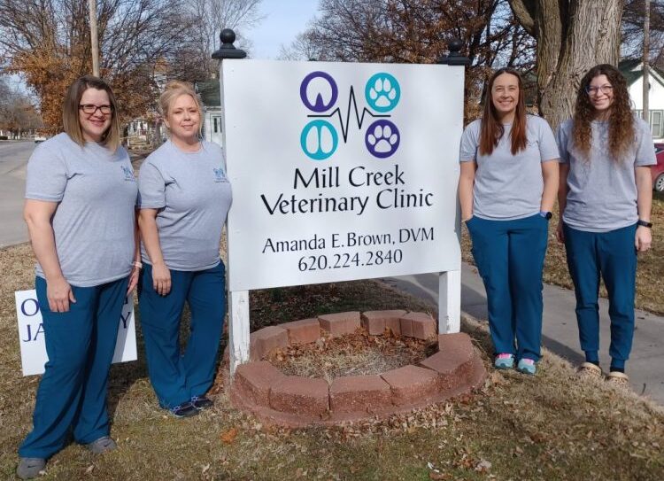 HOME Mill Creek Veterinary Clinic